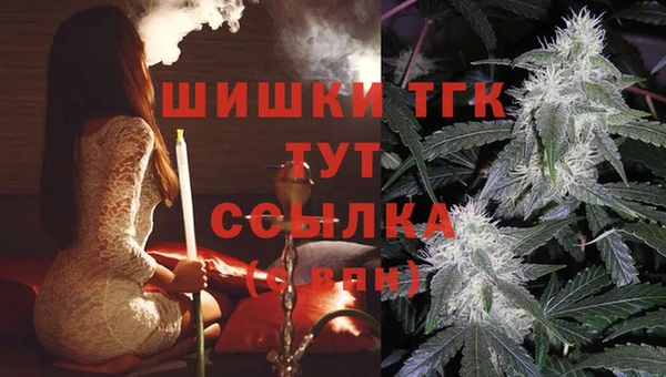 тгк Баксан