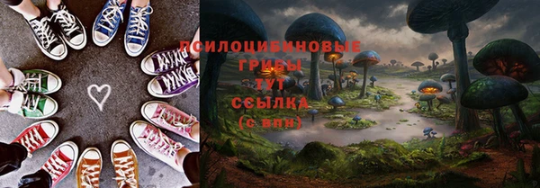 тгк Баксан