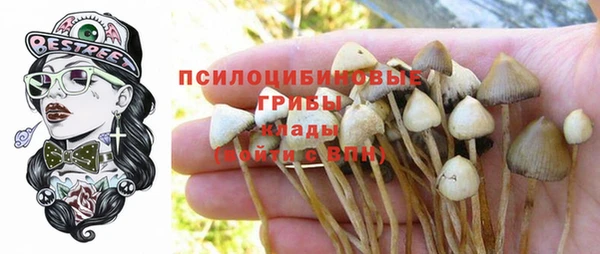 ECSTASY Балабаново