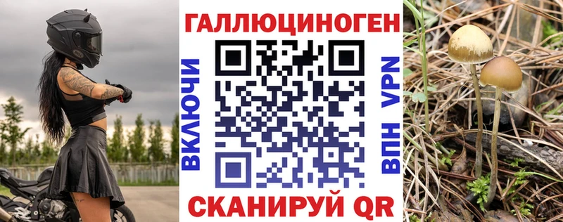 Галлюциногенные грибы GOLDEN TEACHER  наркотики  Омск 
